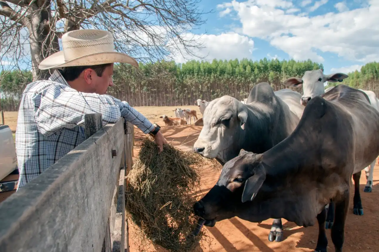2024年西南地区服装鞋帽商贸服务市场趋势与选品策略