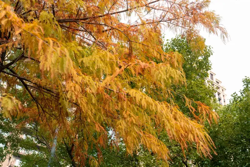 四川儒将商贸2025年西南地区日用百货供应链优化趋势分析