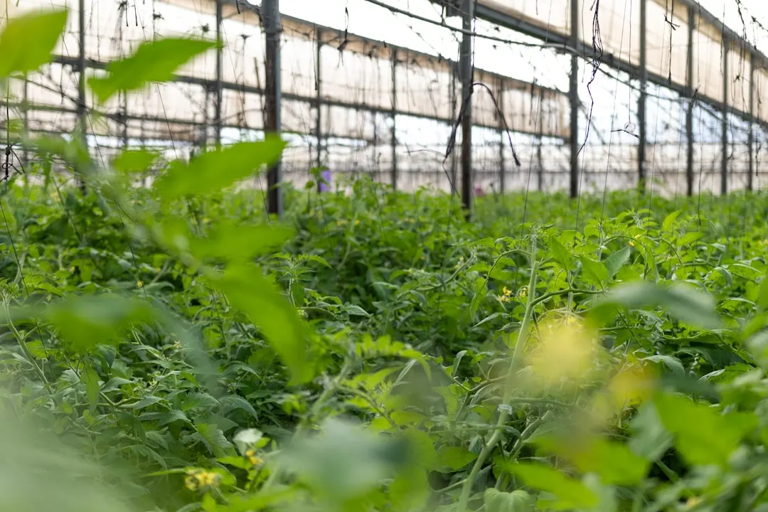 服装鞋帽商贸流通中的供应链协同与库存管理方案